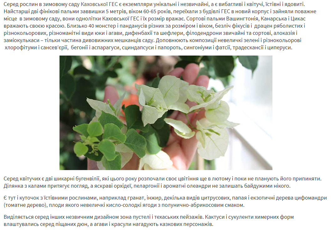 Online Нова Каховка: На Каховській ГЕС ентузіасти відроджують унікальні та екзотичні рослини